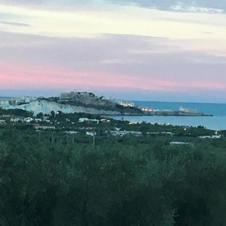 Azienda Agricola B&B Macchiaria Vieste Dış mekan fotoğraf