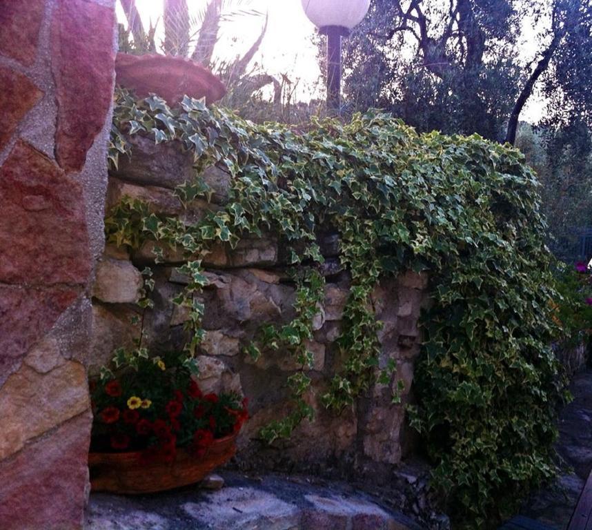 Azienda Agricola B&B Macchiaria Vieste Dış mekan fotoğraf