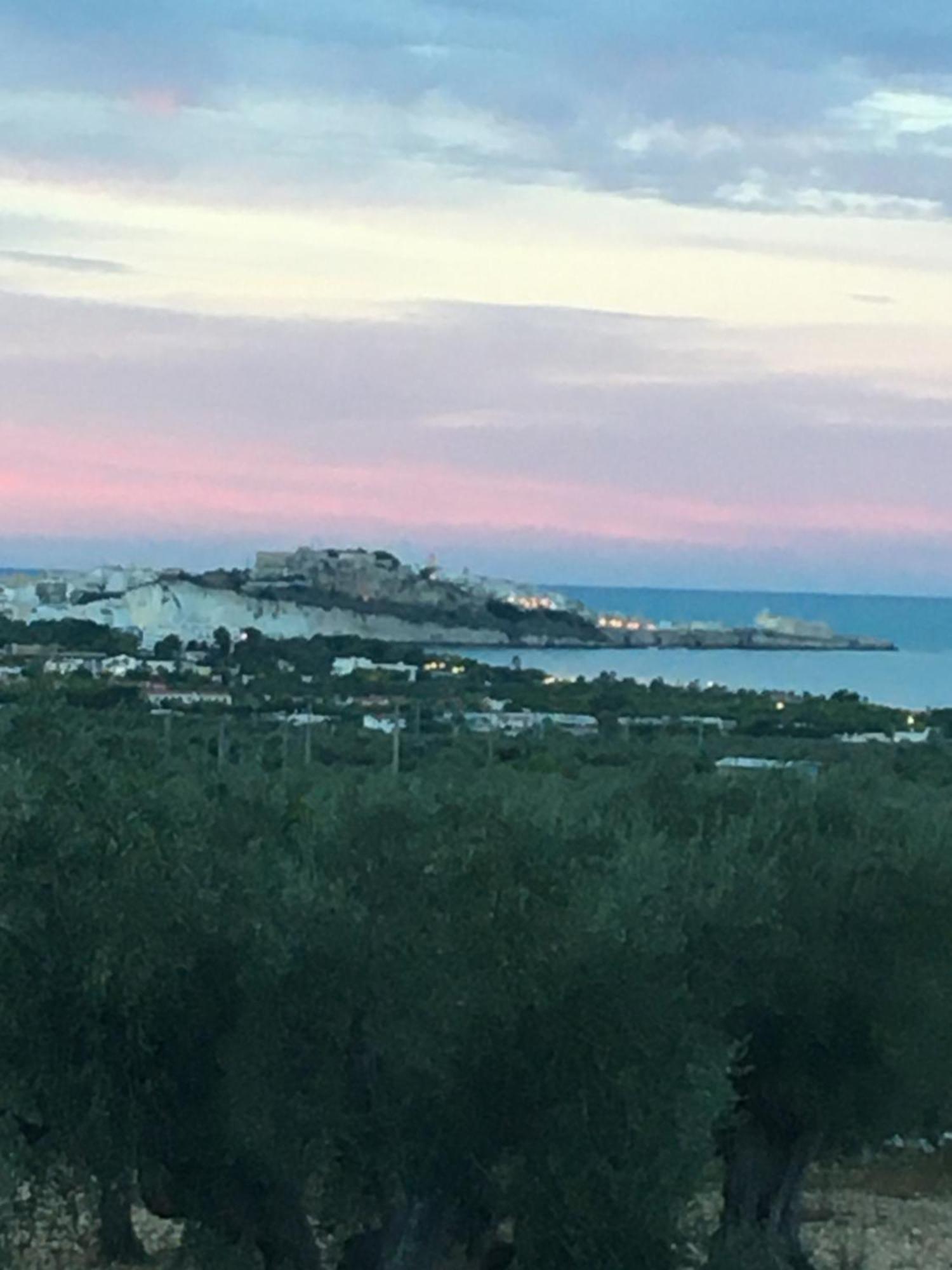 Azienda Agricola B&B Macchiaria Vieste Dış mekan fotoğraf