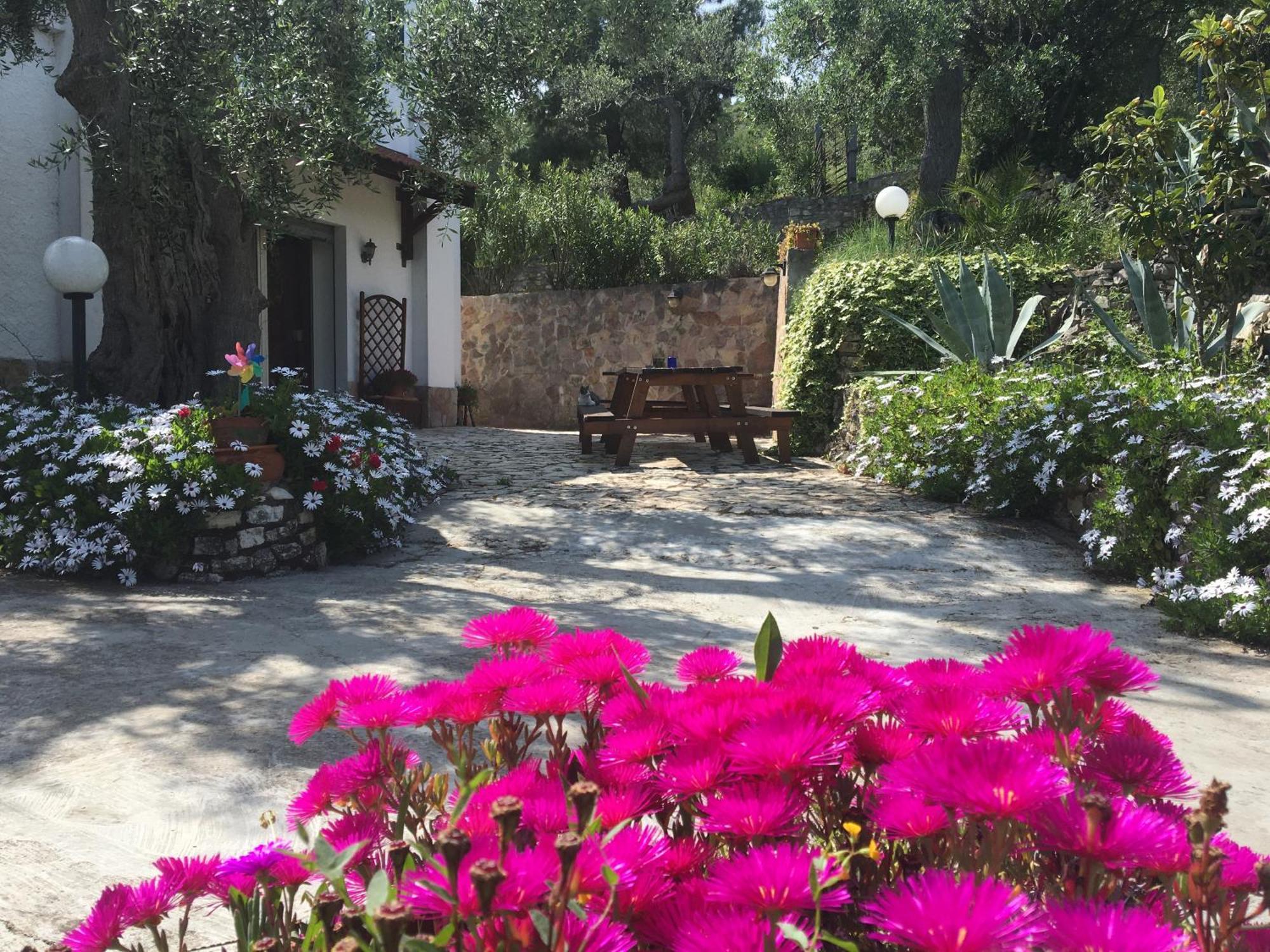 Azienda Agricola B&B Macchiaria Vieste Dış mekan fotoğraf