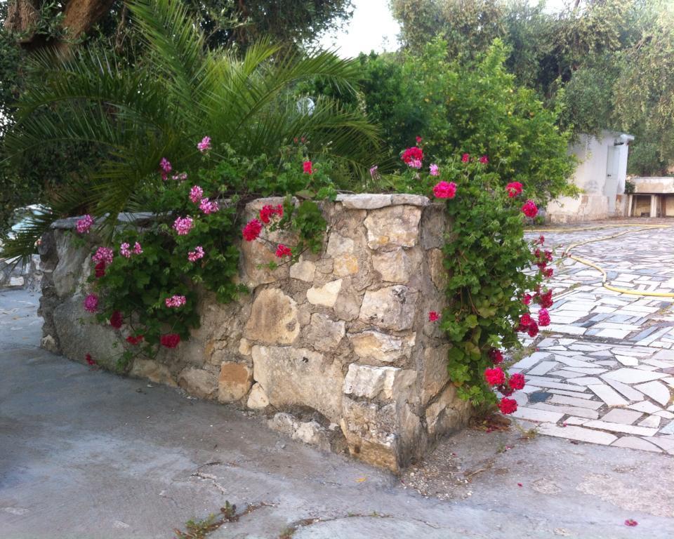 Azienda Agricola B&B Macchiaria Vieste Dış mekan fotoğraf