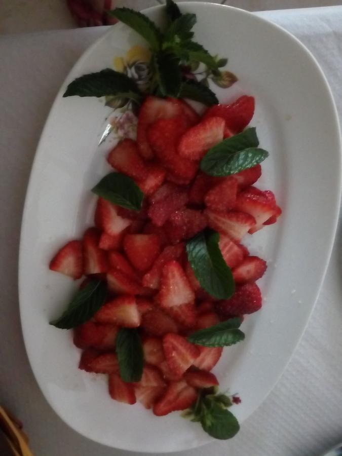 Azienda Agricola B&B Macchiaria Vieste Dış mekan fotoğraf
