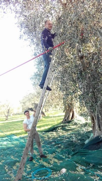 Azienda Agricola B&B Macchiaria Vieste Dış mekan fotoğraf