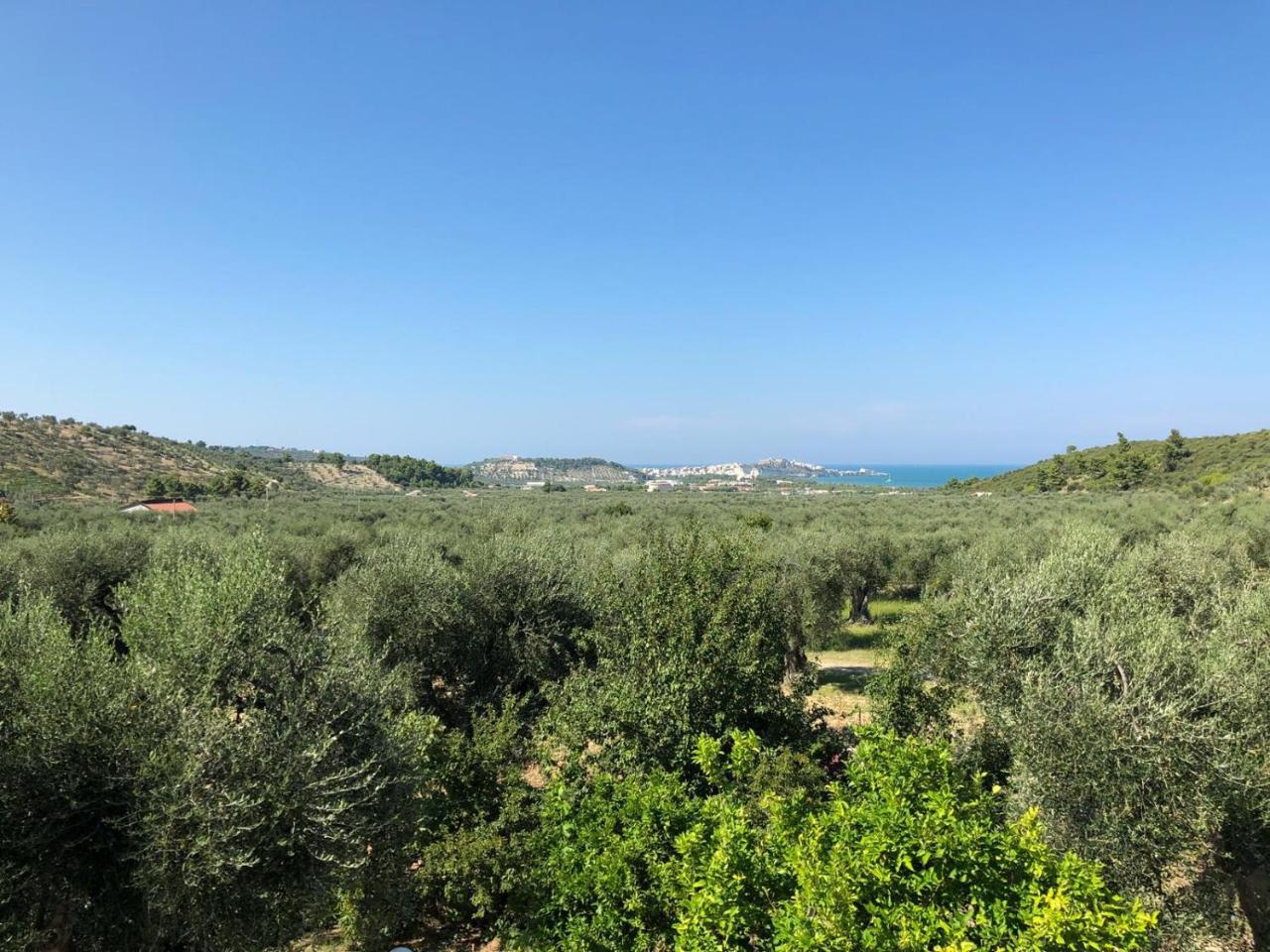 Azienda Agricola B&B Macchiaria Vieste Dış mekan fotoğraf