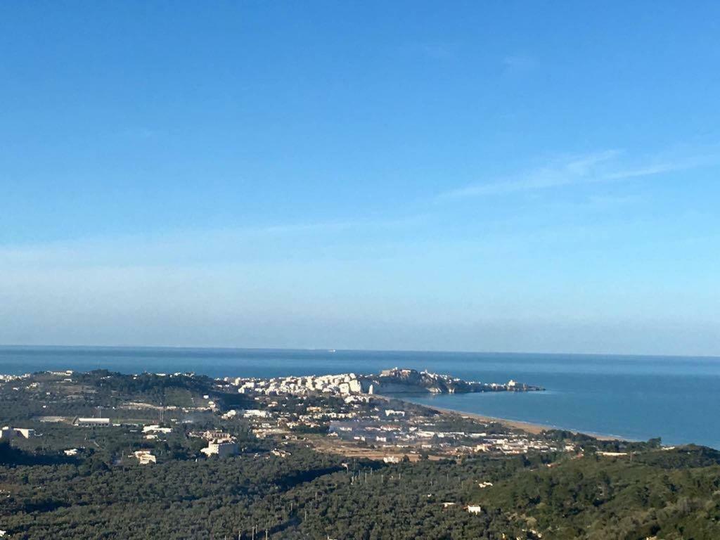 Azienda Agricola B&B Macchiaria Vieste Dış mekan fotoğraf