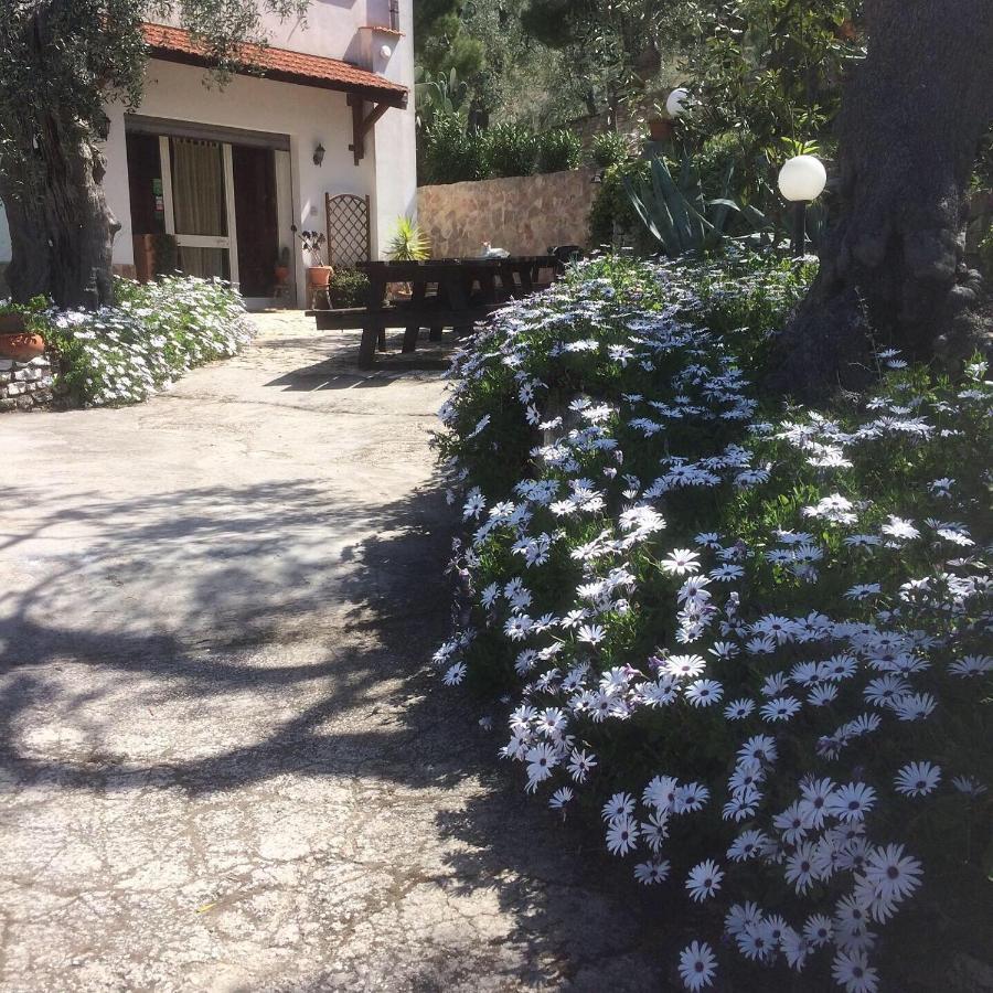 Azienda Agricola B&B Macchiaria Vieste Dış mekan fotoğraf