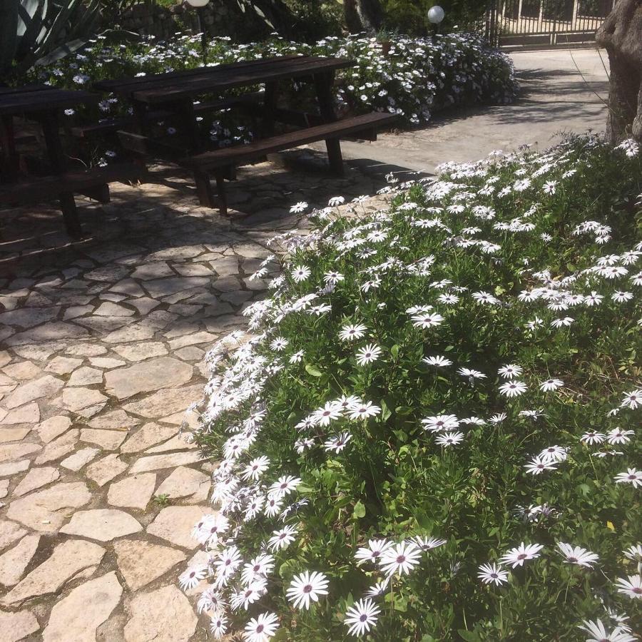 Azienda Agricola B&B Macchiaria Vieste Dış mekan fotoğraf